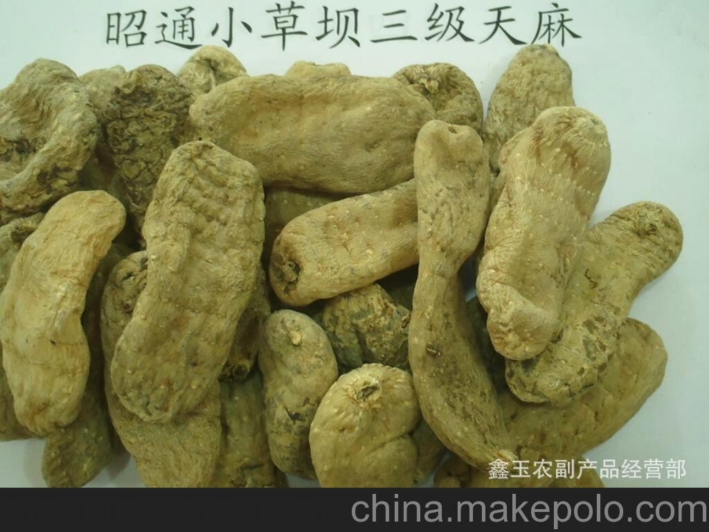 天麻 云南昭通小草壩天麻 仿野生種植天麻 產地直供天麻干.
