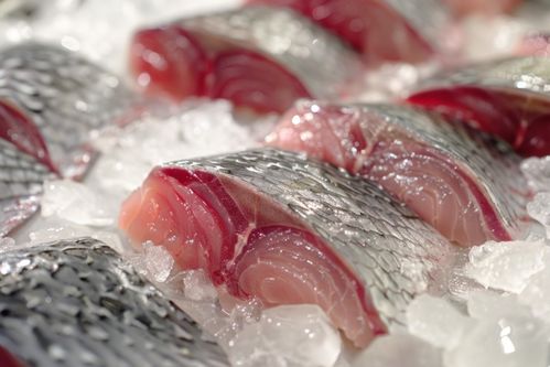 生物食品美食魚片圖片攝影圖 廣告素材 下載至來源處