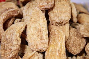 前方高能 你湯里的這種補(bǔ)品是吃蘑菇長大的